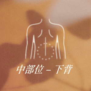 中部位 - 下背