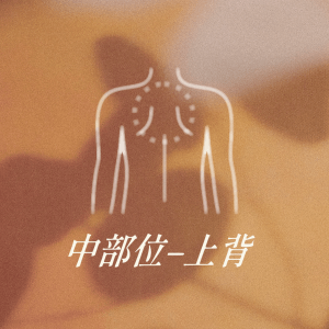 中部位 - 上背