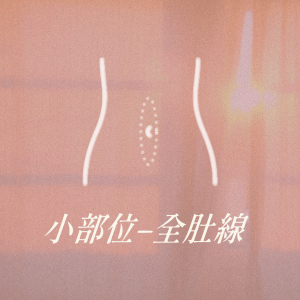小部位 - 全肚線