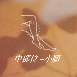 中部位 - 小腿