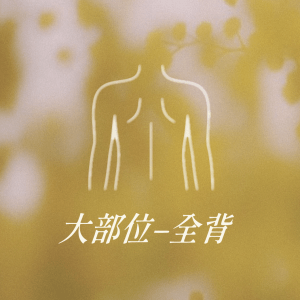 大部位 - 全背