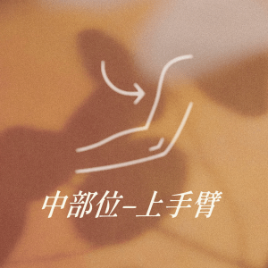 中部位 - 上手臂