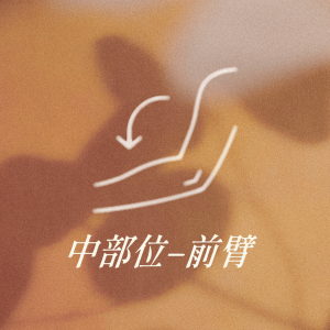 中部位 - 前臂