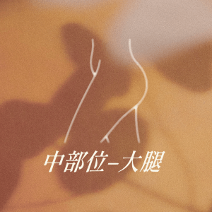 中部位 - 大腿