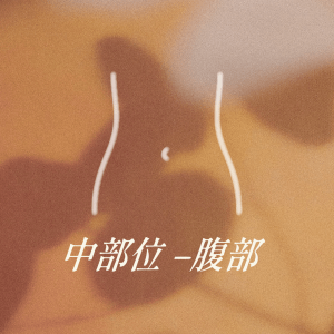 中部位 - 腹部
