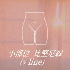 小部位 - 比堅尼線(v line)