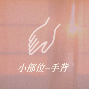 小部位 - 手背
