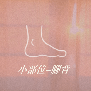 小部位 - 腳背