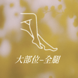 大部位 - 全腿