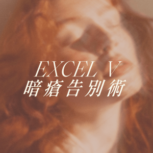 Excel V 暗瘡告別術